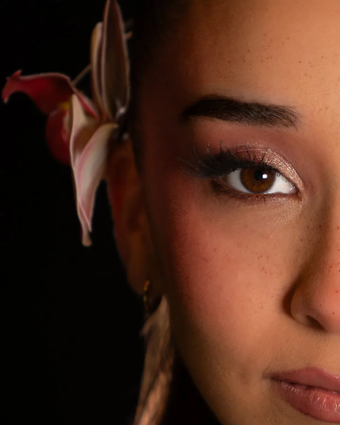 Fotografía — Retrato / Reportaje / Eventos